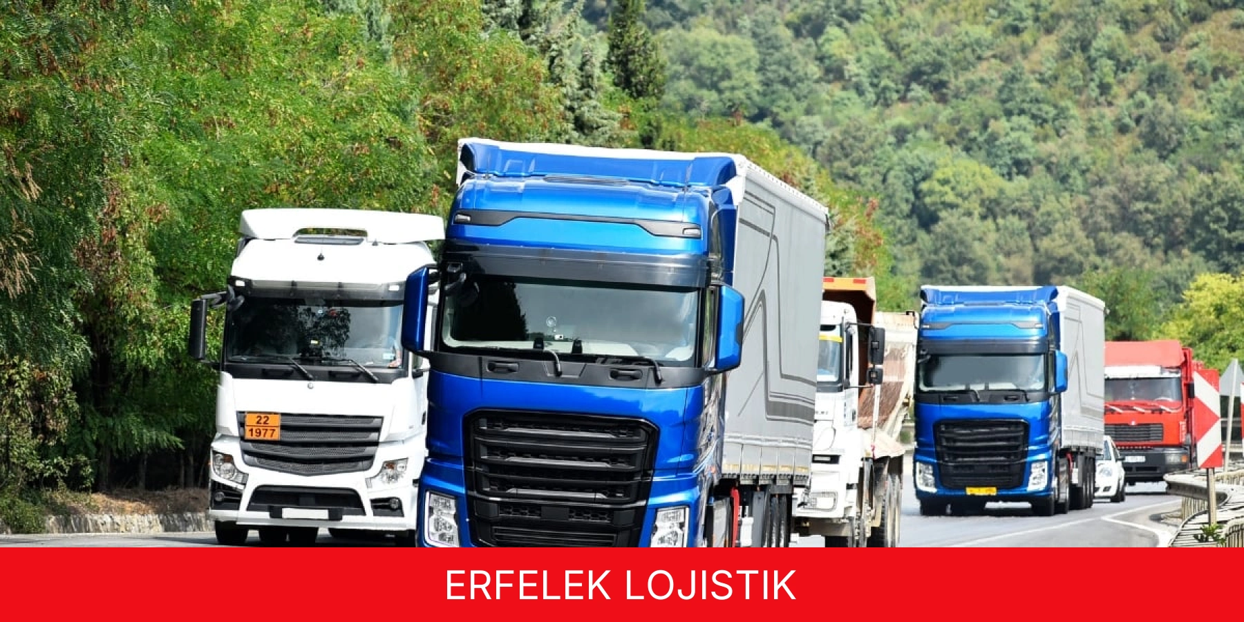Erfelek Lojistik